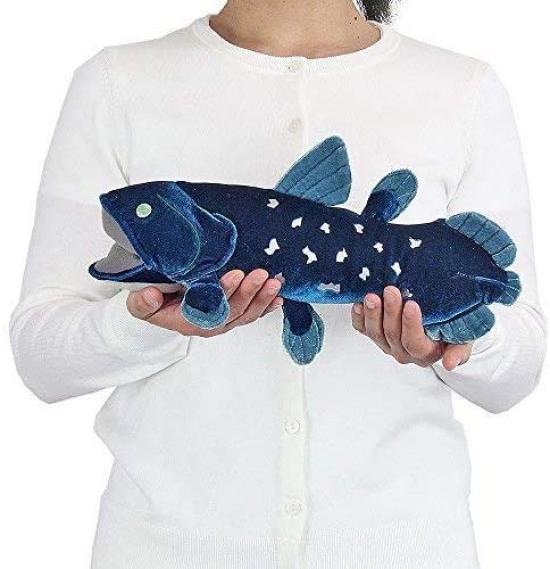 Calorata Coelacanth Plush Toy (Medium Twice Tested 36cm Long x 21cm Wide x 15.5cm High) Ancient Fish Toy, Realistic Gift for Birthdays, Boys and