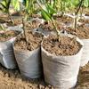 100-500pcs Non-woven Fabric Seeding Bags Plant Grow Bags Seed Nursery Bag Garden Seedling Growing Planter Pots Biodegradable