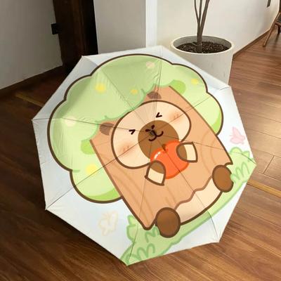 Accessoires – Regenschirme
