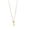 2022 New Luxury Gold Clavicle Chain: Simple Freshwater Pearl Choker Necklace