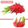 Dragon Fruit Artificial Fruit Early Education Toys Food Ornament Festive Party Home Decoration For Photography Props