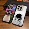 Funny Cats And Dogs Phone Case For IPhone17 Air 16 15 14 Plus 13 12 11 Pro 7 8 XS Max XR Silver Black Bumper Case