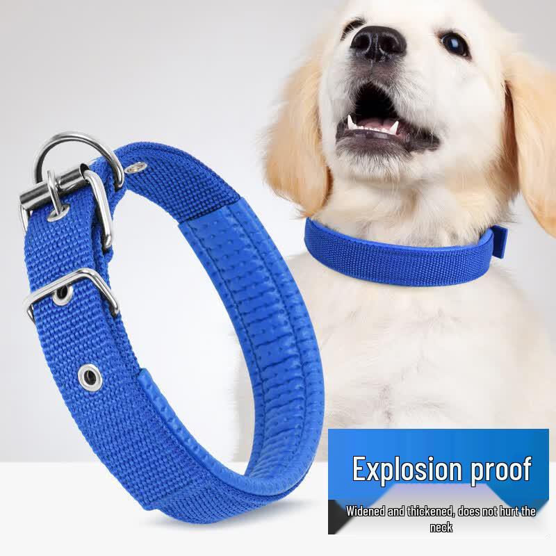 Hanhan Paradise Pet Dog Collar