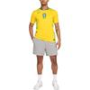 Nike Brazil 2025 Stadium Home (Women's Team) Men's Nike Dri-FIT Soccer Replica Jersey FZ9011-718