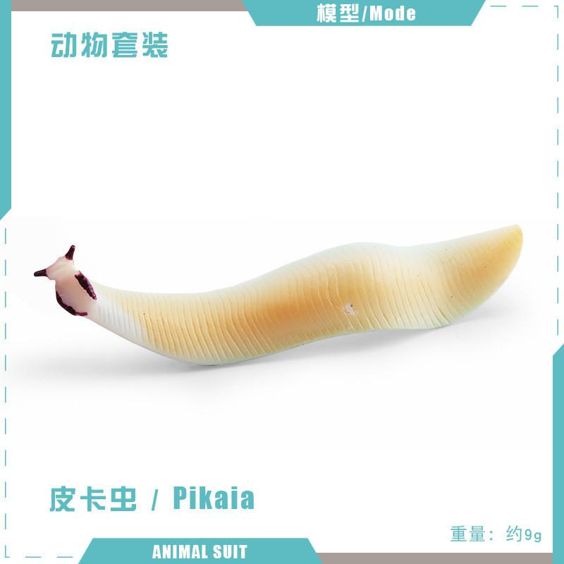 Realistic Ancient Marine Creature Model Collection Featuring Cambrian Anomalocaridids And More