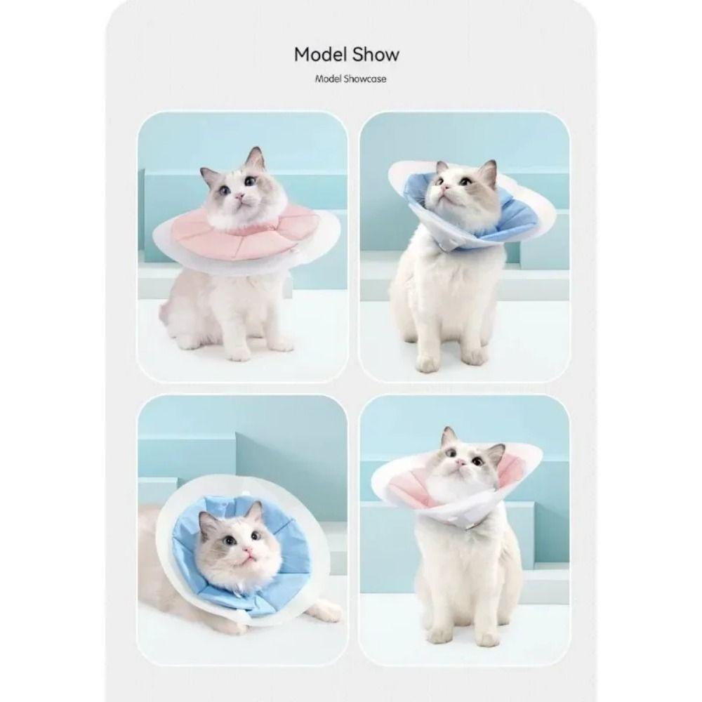 Adjustable Cat Elizabeth Circle Double-layer PVC Kitten Neck Cone Soft Pet Cone Collar  Recovery