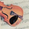 VICASKY Violin Chinrest, WoodenMetal, Instrument Part, Viola Compatible, Playing Support Accessory, Black, 10cm