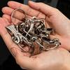 10/50x Gancio Metallico per Tende Anelli per Tende Clip per Asta Molletta per Doccia Fibbia Argentata Anello Appendioggetti Forniture per Decorazione Storage Casa