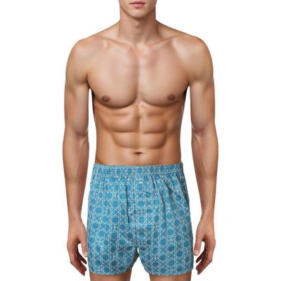 Geometric Print Mesh Trunk Tkg3606mtgr