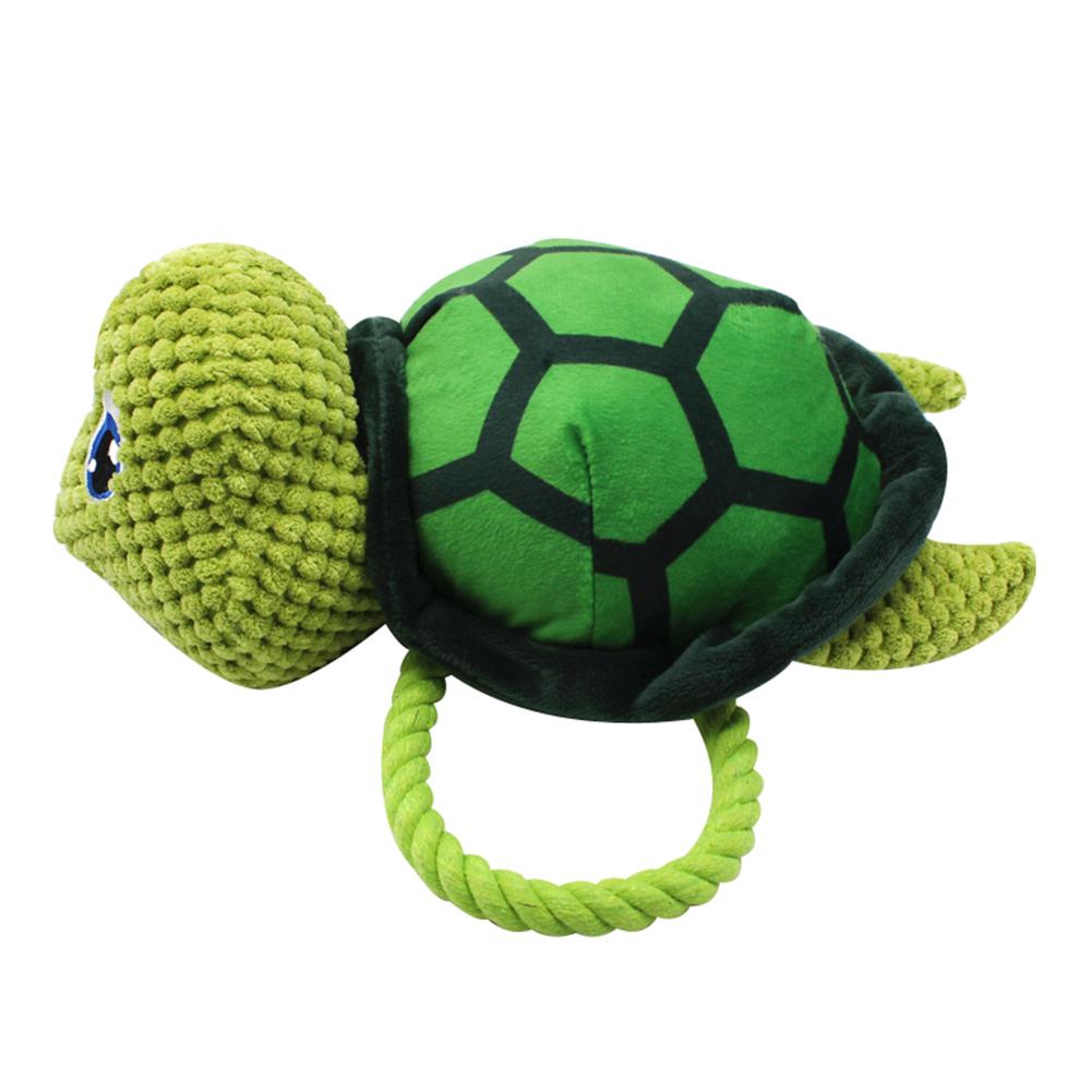 dog turtle toy