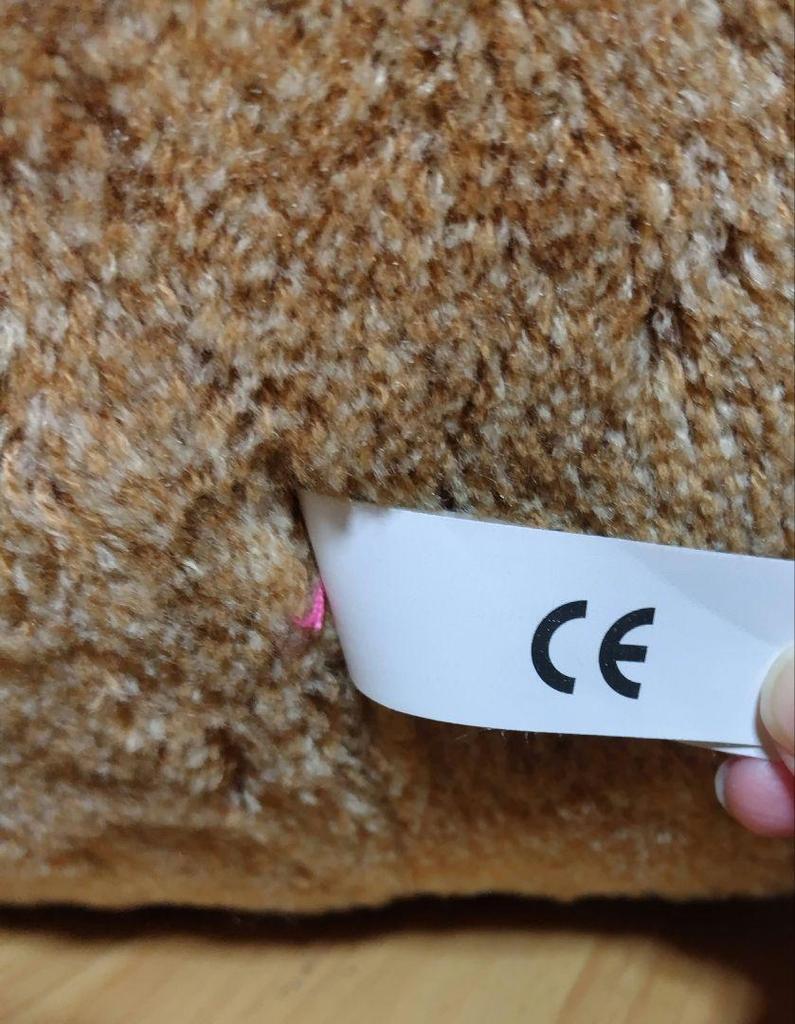 [USED] Teddy Bear Teddy Bear