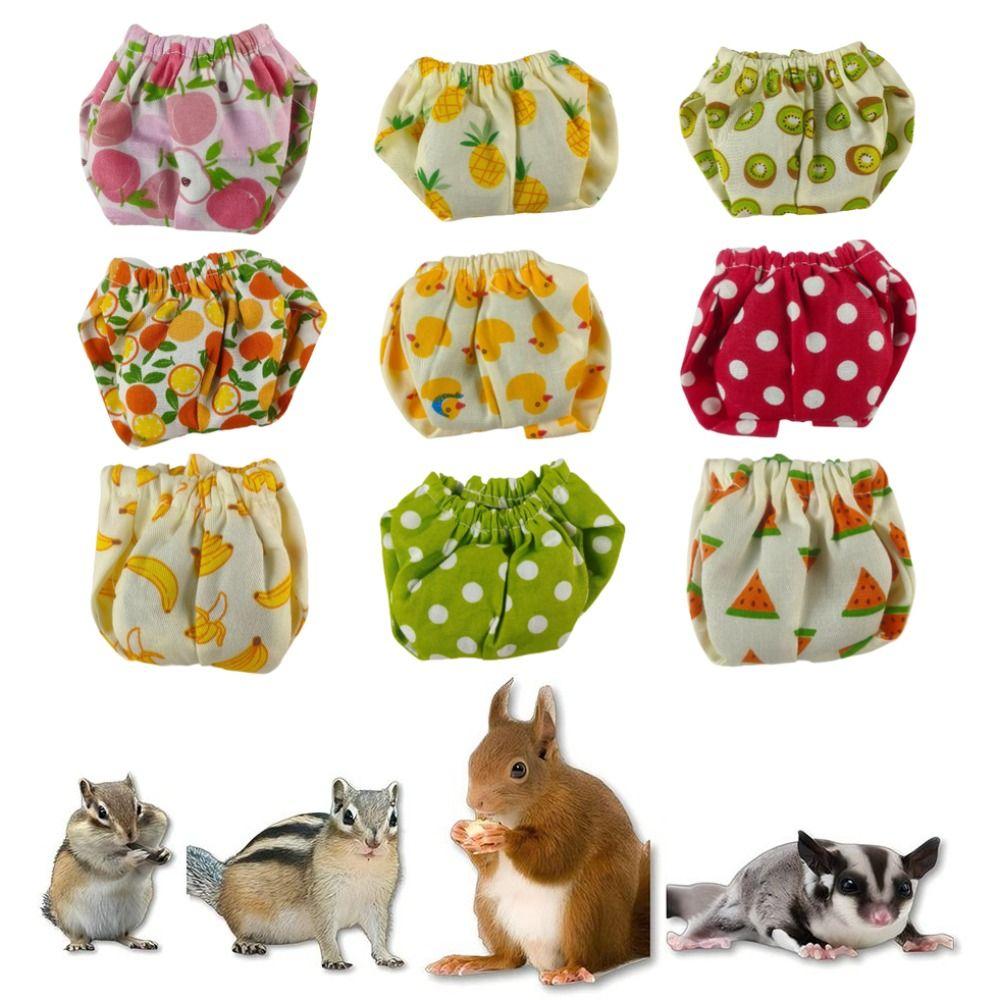 Absorbent Squirrel Diapers Adjustable Squirrel Underwear Potty Training Underwear  Potty Training