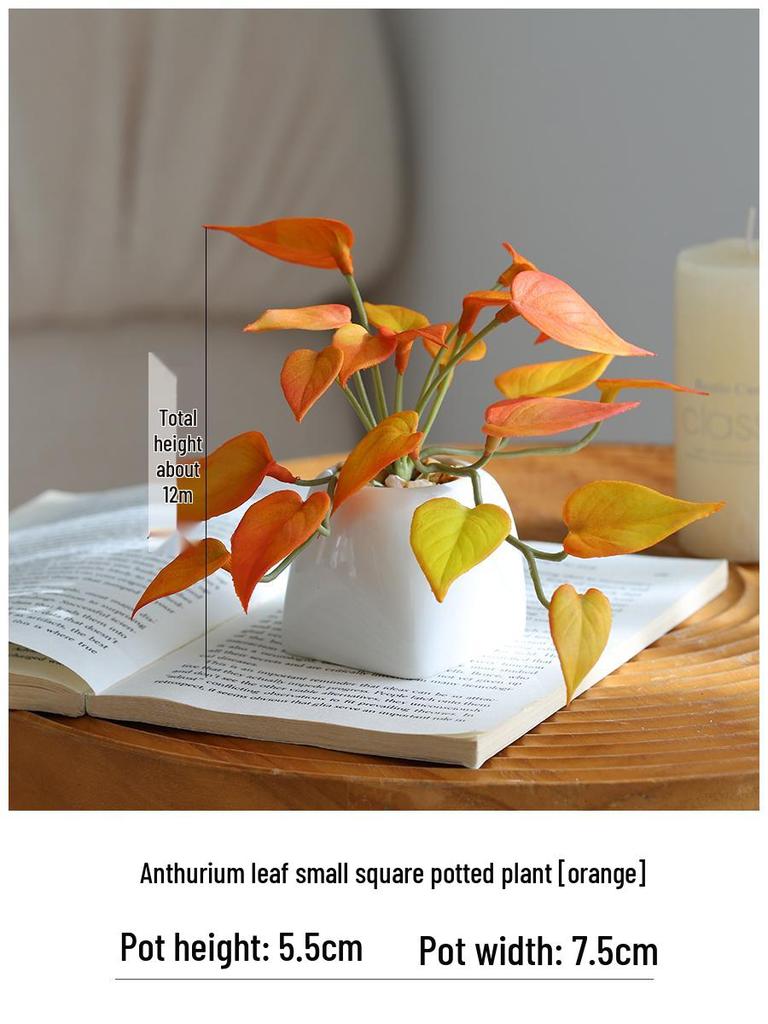 Miniature Succulent Bonsai Desk Ornament: Green Plant Props for Home or Office Decor