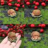 Cute Resin Hedgehog Figurine For Miniature Garden Decor Micro Landscape Gift For Holiday