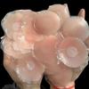 New Reusable Silicone Nipple Cover for Women Bra Sticker Breast Petal Strapless Bra Invisible Boob Pads Chest Pasties Intimates