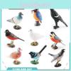 Bird Replication Pvc Magpie Pigeon Models For Home Decor And Ornithology Enthusiasts