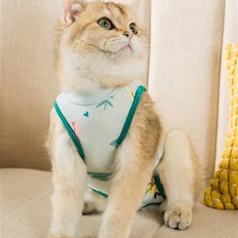 Husdjurskläder: Kläder för katt och hund, Bekväma steriliserings- och avvänjningskläder, Amningsoveraller