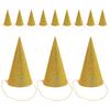 12Pcs Birthday Hats Glitter Cone Party Crowns for Kids Adults Wedding Baby Shower Prince Crown Birthday Crown Baby Crowning