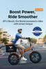 ENGWE EP-2 BOOST Elektrofahrrad 48V 13Ah Akku, 250W Motor, 20*4,0 Zoll Reifen, 120KM Reichweite, 55Nm Drehmoment E-Bike