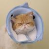 Recovery Cone Shape Good Flexibility Adorable Fastener Tape Mesh Anti-bite Pet Recovery Neck Collar