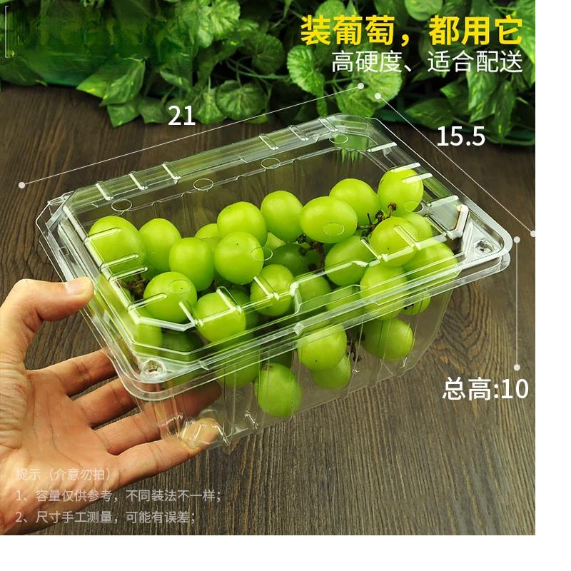 Disposable Plastic Fruit & Deli Containers