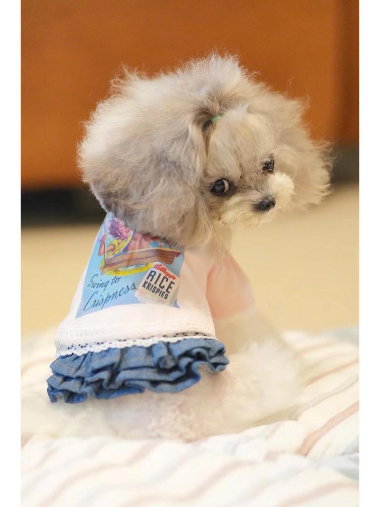 Pet Dog Denim Mesh Skirt: Cotton, Versatile, for Small Breeds