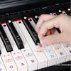 [ZYAS][G331] Set 1 Adesivi Lettere Piano per Principianti 88/61/54/49 Tasti Con Etichette Note Colorate Rimovibili Adesivi Tastiera Piano