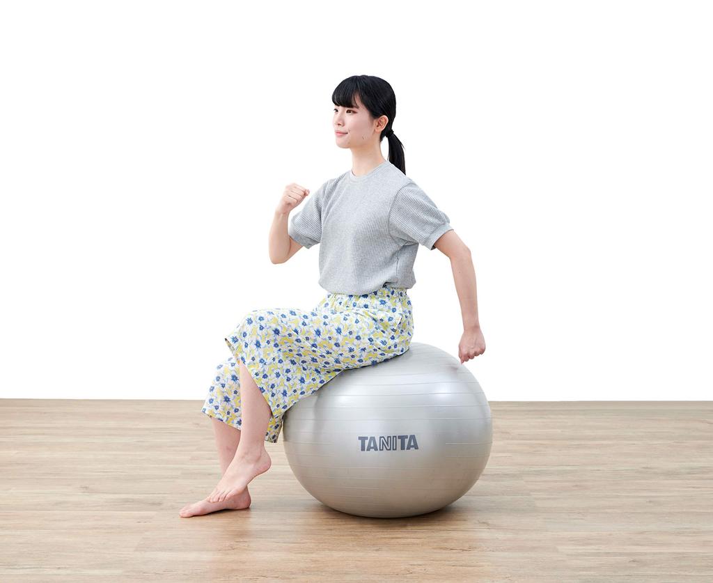 TANITA Size Gym Ball TS-962 Silver