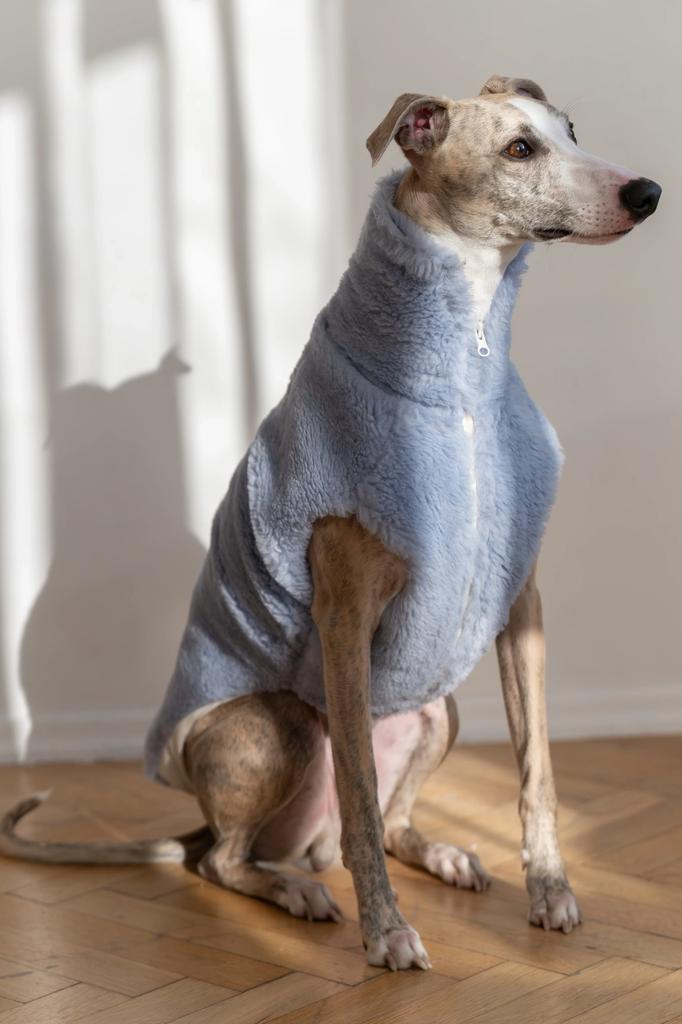 Woolen Dog Vest - Blue 4