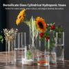 Borosilicate Glass Vase For Hydroponic Plants Straight Cylinder Design Indoor Desktop Decoration