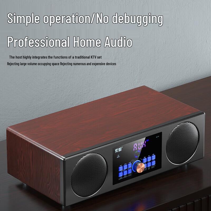 Soaiy SA-X15 Home KTV Karaoke System with Dual Microphones