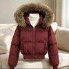 Europäischer und koreanischer Plüschpelzkragen süße Gypsy-Jacke mit kurzer Taille, locker, Baumwollwattierung, verdickte Baumwollwattierungsjacke