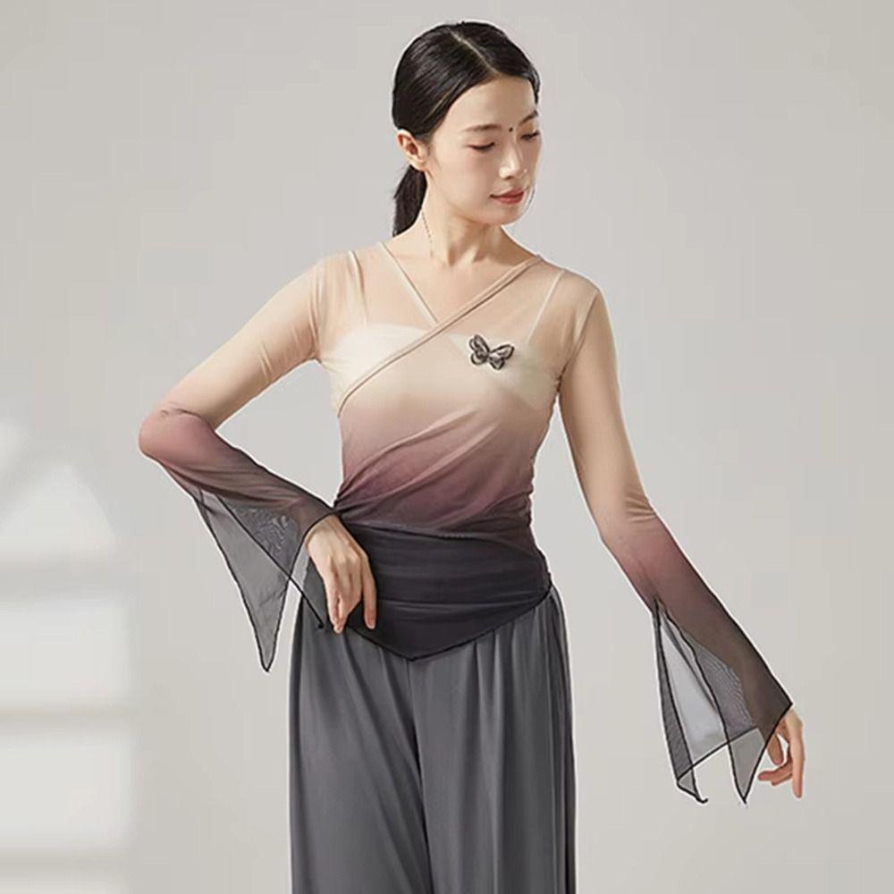Butterfly Classical Dance Top Chinese Hanfu Dance Mesh Top Performance Training Costumes Dance