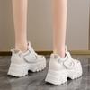 Inner Height Increase Dad Shoes Women's New Autumn Versatile Platform Travel Shoes Tide Is Mesh Sports and Leisure Shoes
