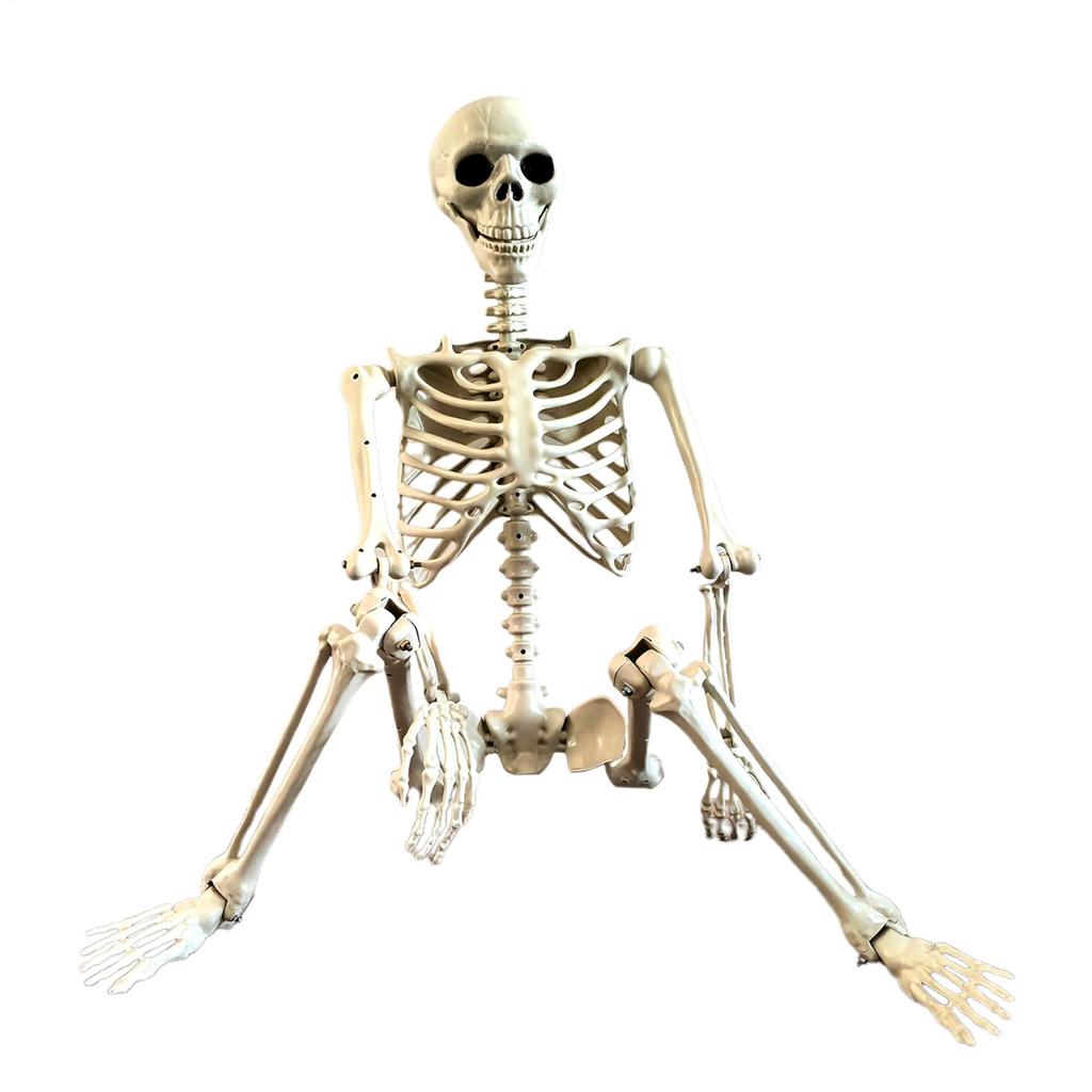 Halloween Skeleton 90cm Halloween Human Shape Posable Human Shape Bones Halloween Herror Decorations Haunted House Horror Props