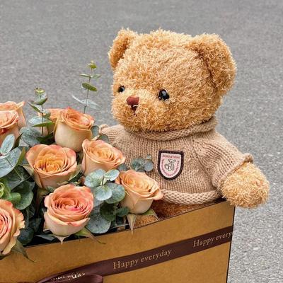 Caja de Regalo de Peluche de Oso Teddy - Muñeco de Oso de Peluche para Cumpleaños