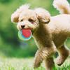 Runder Kugel-Hunde-Gummiball mit Duft, Quietschender Hunde-Spielball, Interaktives Haustierspiel