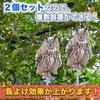 Sac Taske Bird Repellent, Realistic Owl Design, Bird Scare, Pigeon Repellent, Crow Repellent, Bird Pest Control (Set of 2 Horned Owls)