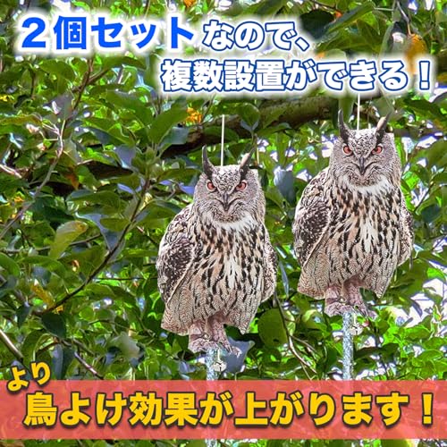Sac Taske Bird Repellent, Realistic Owl Design, Bird Scare, Pigeon Repellent, Crow Repellent, Bird Pest Control (Set of 2 Horned Owls)