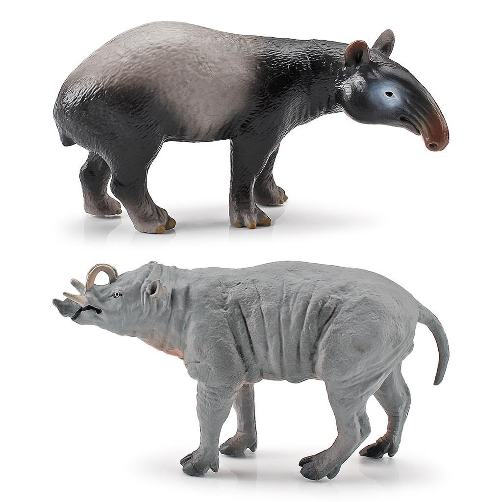 Babyrousa Pvc Wild Animal Models Set For Nature Study And Collection