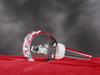 Griffon Bruxellois, Brussels Griffon – Crystal bottle stopper, unique wine stopper with photo | Art-Dog