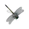 PVC Science Toys Animal Model Dragonfly Model Animal Figures Insects Model Dragonfly Action Figures