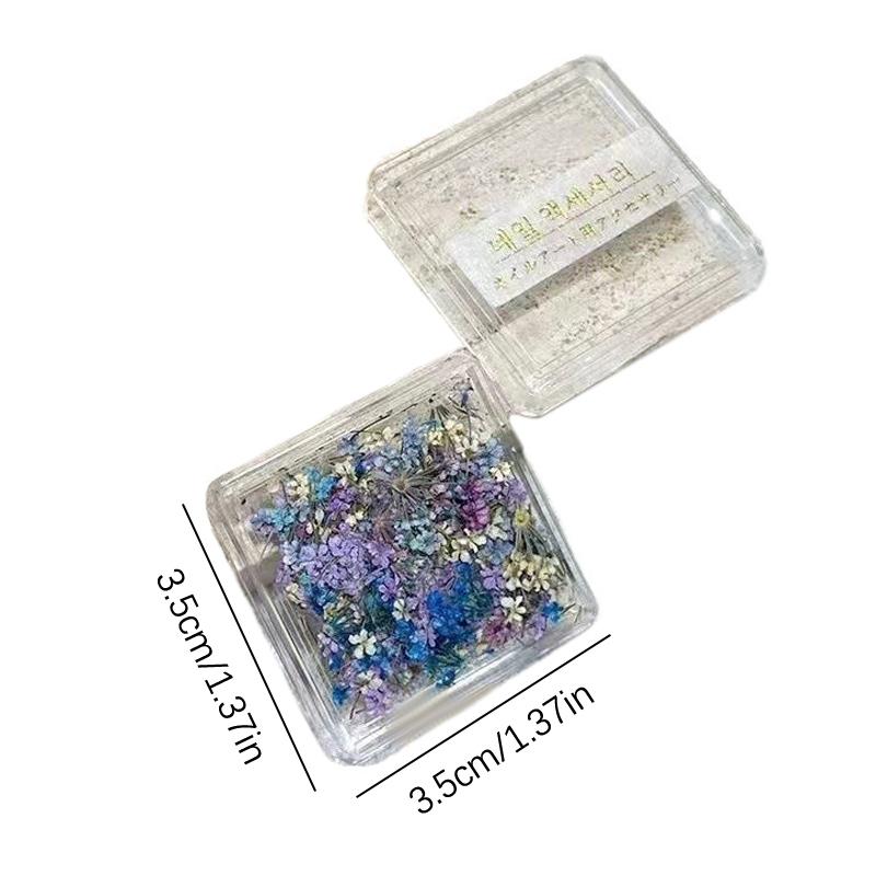 1Box Nail Art Flower Decoration Delicate 3D Dried Flower Nail Art Decorations Exquisite Nail Art Beauty For Charms Accessories