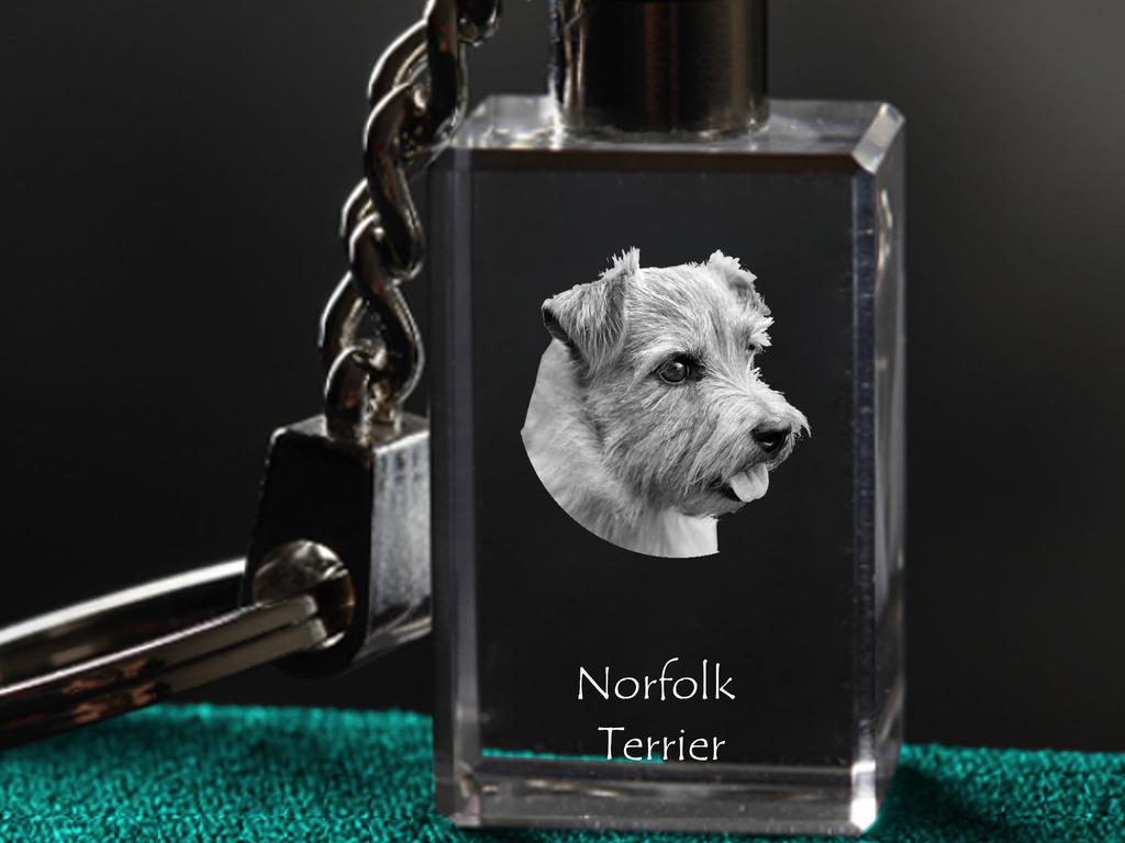 Norfolk Terrier - Crystal key ring with dog photo, illuminated key ring, unique gift by Art-Dog brand