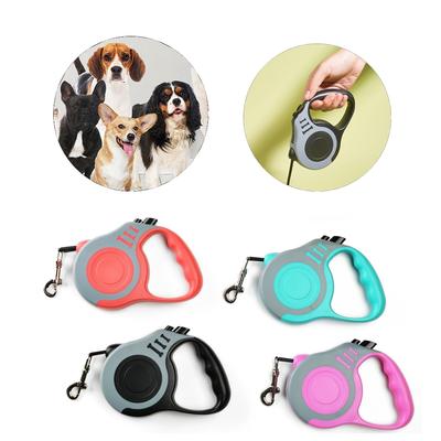 Köpek – Köpek Tasmaları ve Tasma Kayışları