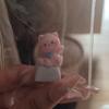 3D Mechanical Keyboards Creative Cartoon Cats Head Gamer Keyboards Keycaps for Office Decompression