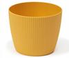 Mustard Plastic Pot 16 Cm Magnolia Jumper