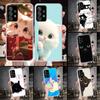 Cat Cute Kitten Cartoon Phone Case For Samsung Galaxy A12 A22 A32 A52 A72 A02S A51 A50S A71 A70 A31 A20S Note 20 Ultra S10 A10S