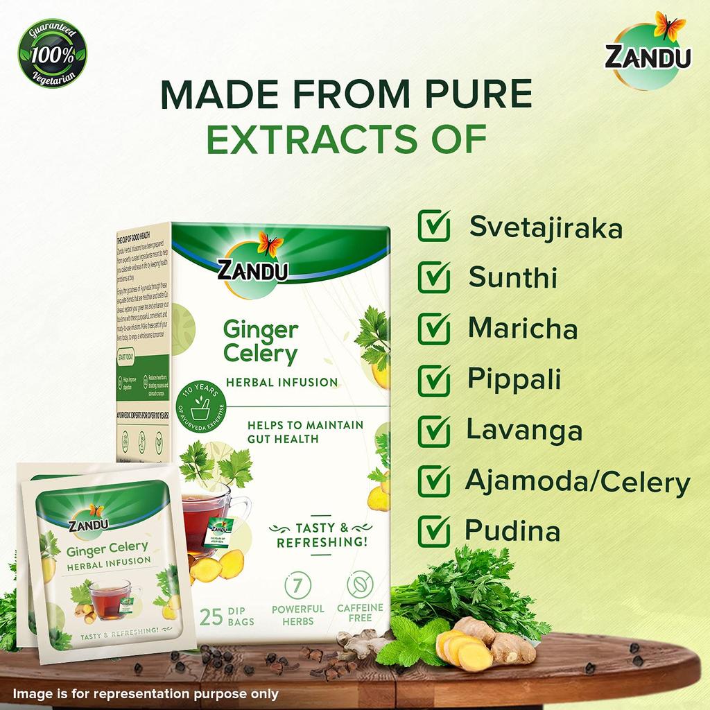 Zandu Ginger Celery Herbal Infusion Tea Pack of 25 X 2 | Ayurvedic Digestive & Refreshing Wellness Blend