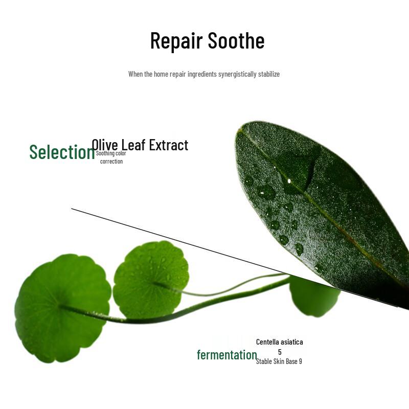 Oneleaf Skincare Regimen Gift Sets